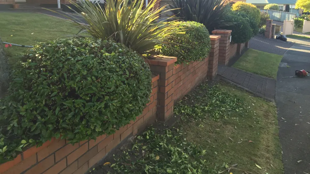 Tree pruning service in Papatoetoe, Auckland by KCH Property Care